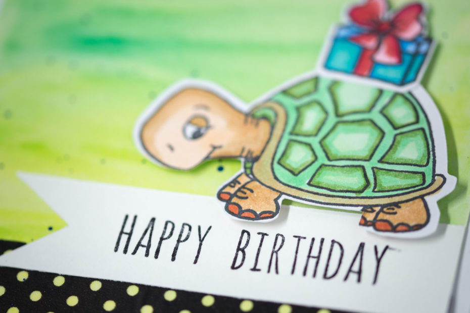 © Gerda Steiner Design_Turtley Great! | © Stampers Anonymous_Things Talk Holidays Greetings | © Copic_E51 | © Copic_E02 | © Copic_E35 | © Copic_E33 | © Copic_E47 | © Copic_G21 | © Copic_G02 | © Copic_RV29 | © Copic_R27 | © Copic_YG67 | © Copic_YG41 | © Copic_B05 | © Copic_B23 | © Tsukineko_Memento - Espresso Truffle, Karte, Geburtstag