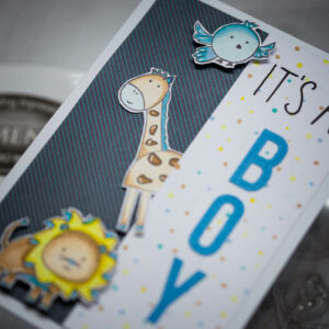 ProdNo-2021-2-51_Its-a-Boy__MG_0573_004